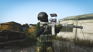 Пробежка по земле хомяков в Dayz