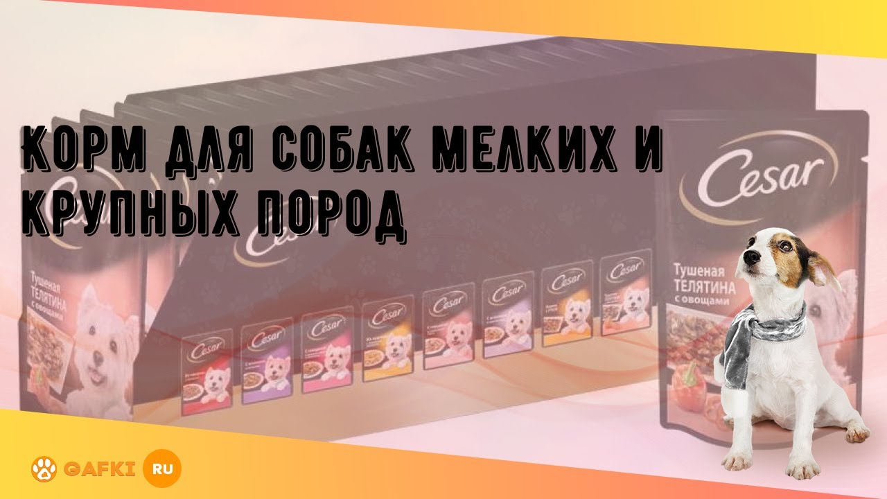 Когда вест за кормой
