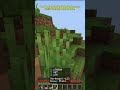 Day 48 of walking 2000 Blocks Every day until I reach the World Border. #minecraft #fypminecraft