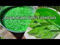 AGAR AGAR LUMUT PANDAN SIMPLE