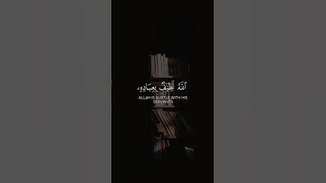 الله لطيف بعباده | سورةالشورى #quran