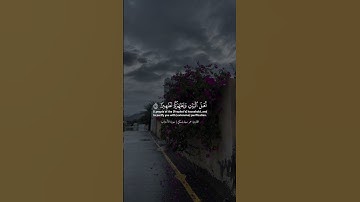 القارئ عمر سيلدينسكي | سورة الأحزاب