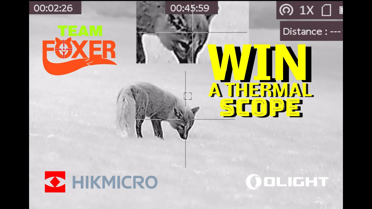 The Best Thermal Scope Out Right Now? HIKMICRO PQ50L Panther review