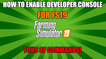How To Enable Developer Console | FS19