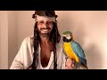 #pappagallo #tvshow #covid19 #covid19 #parrot #adorable #adventure #education #olistico #felicità #
