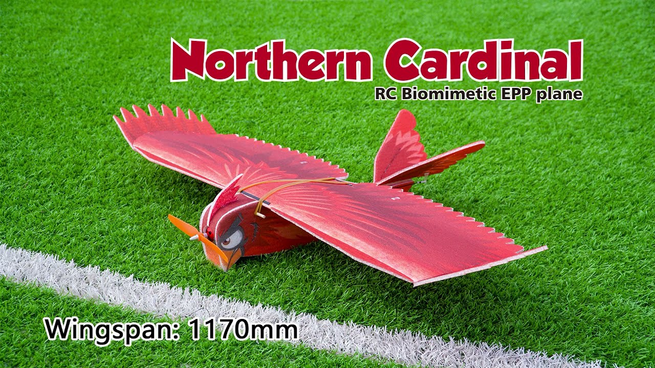 46" EPP Airplane Northern Cardinal