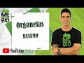 Organelas - Resumo Professor Gustavo