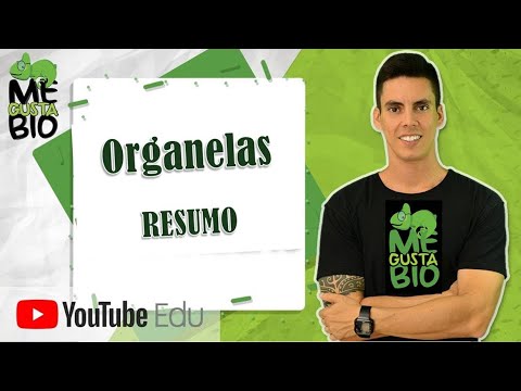 Vídeo: O que é uma definição simples de organela?