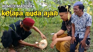 komedi madura lucu || kelapa muda ajaib , Reskoni,sajer dkk