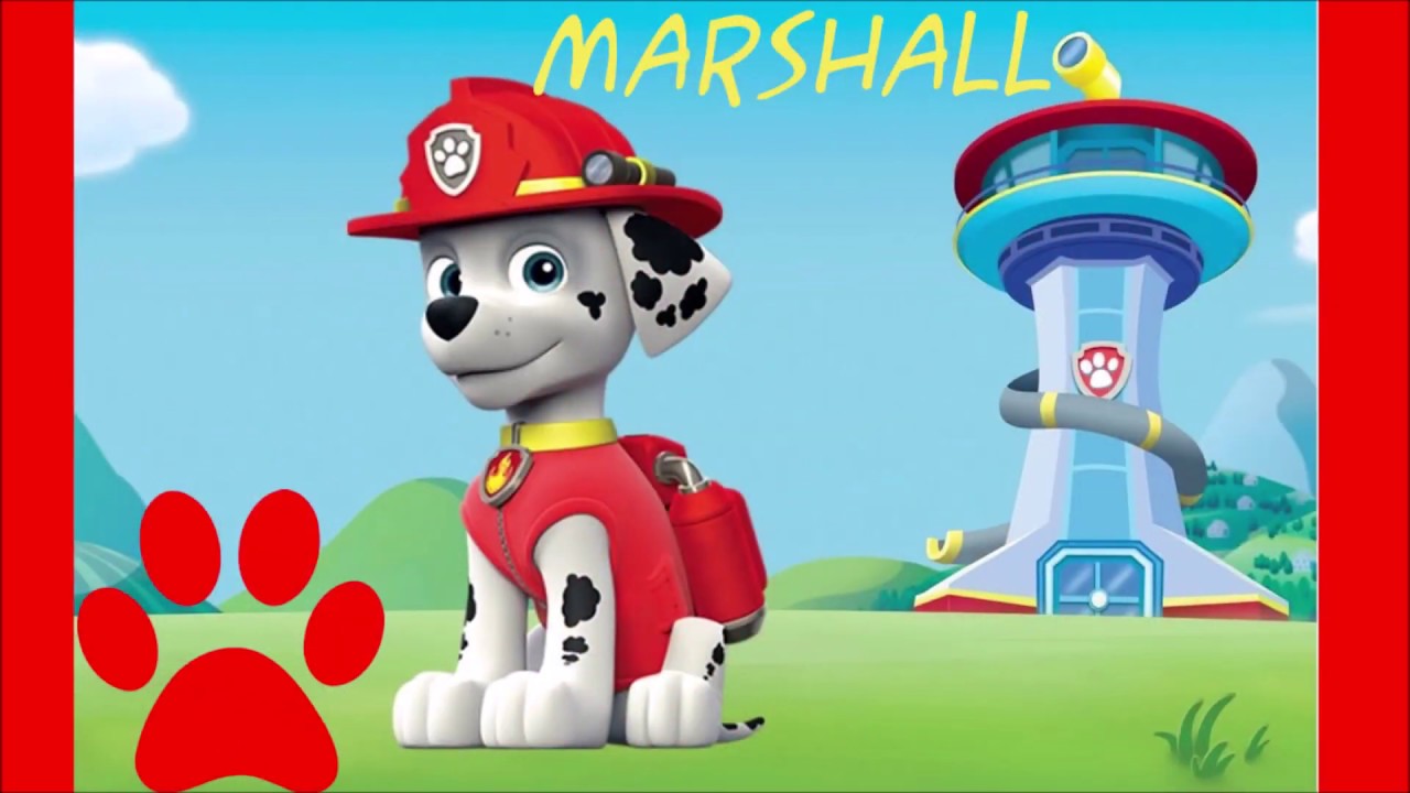 La Patrulla Canina 🐶 Cachorro Marshall 🐕 🚒 Paw Patrol Marshall 💛🐾 