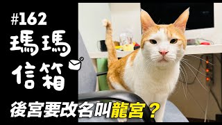 後宮要改名叫龍宮瑪瑪信箱《第162集》