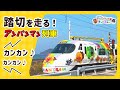 【JR四国公式】踏切を走るよ！アンパンマン列車