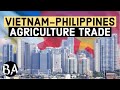 Why the philippines buys rice from vietnam