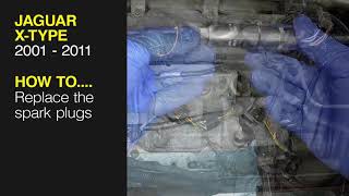 Career Overview How to Replace the spark plugs on the 5631 - Jaguar X-Type 2001 to 2011