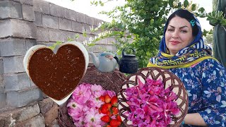 پخت فسنجان غذای اصیل ایرانی و برداشت گل گاو زبان و دمنوش گیاهی در زندگی روستایی| village lifestyle