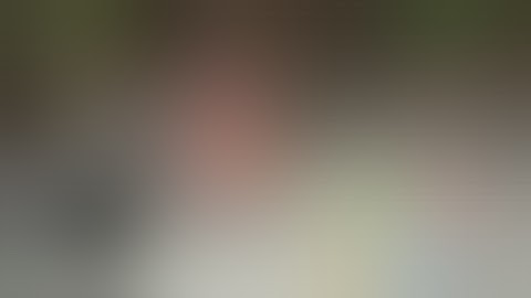 NEW WR3D HELL IN A CELL MOD RELEASED