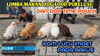 KETIKA ANJING POM IMUT LOMBA MAKAN DOG FOOD PURELUXE DAN DOG TIME POUCH  RUSUH TAPI IMOET BANGET