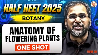 ANATOMY OF FLOWERING PLANTS CLASS 11 ONE SHOT | ALL CONCEPTS & THEORY | HALF NEET 2025 BY TARUN SIR screenshot 5