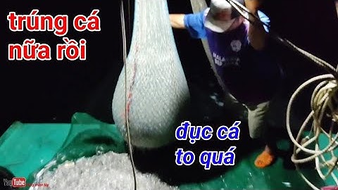 những ngày cuối năm ngư dân trúng đậm cá cơm có tiền ăn tết rồi