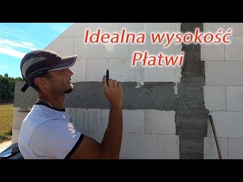 Wideo: Jaka jest wysokość linii drzew w stanie Utah?