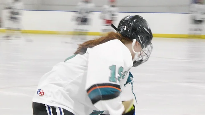 Girls Hockey New Trier vs. Naper Valley Warriors 12.18.22