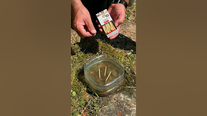 Survival Skills: Emergency Waterproof Matches for Extreme Conditions. #survival #camping #lifehacks