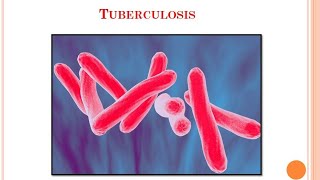 {3} Tuberculosis...#VeterinaryPathology