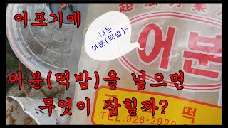 헐.. 이런것 까지 잡혀?!! 어포기에 떡밥(어분)을 넣으면 무엇이 잡힐까?Wow... You can catch something like this?!! What can you c