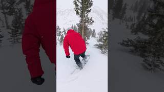 How to ride through trees safely ​⁠@outdoormasterUS ​⁠@clewsnowboarding #snowboarding