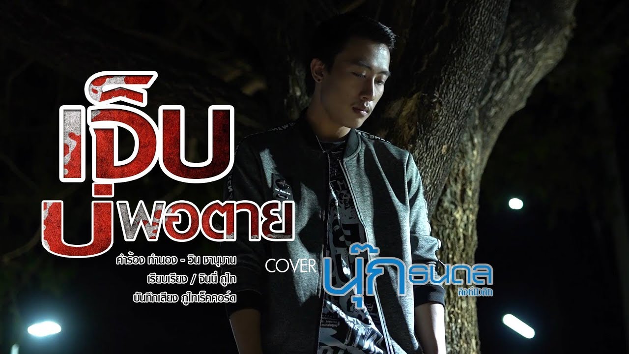 เจ็บบ่พอตาย - นุ๊ก ธนดล 【Cover Version】