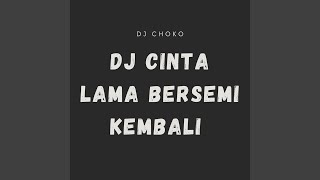Download Lagu DJ Cinta Lama Bersemi Kembali MP3