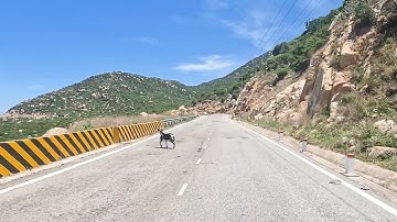 Đường ven biển Ninh Thuận  (đoạn Cà Ná – Mũi Dinh) #DT701 #ninhthuan