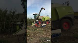 Комбайн Класс Vs Велика С Прицепом,