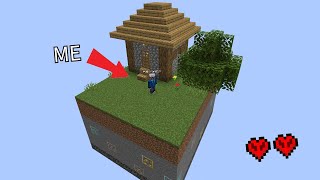 I Spent 7 Days on the World's SMALLEST Minecraft World!