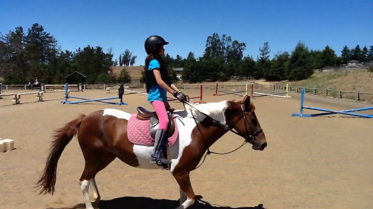Horse Camp in Petaluma, CA YouTube