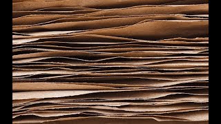 Episode #096 - Auditing with Paper Trail Information