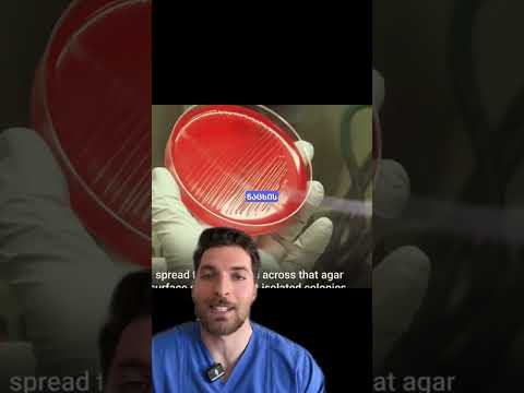 ყველაზე ბინძური ნივთი ყოველდღიურობაში ექიმი მედიცინა სამედიცინო