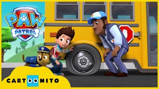 Paw Patrol Yavrular Okul Otobüsünü Kurtarır  Cartoon Network Türkiye