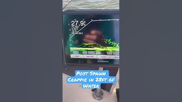 Post Spawn Crappie #crappie #crappiefishing