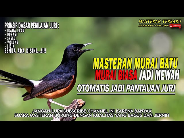 MASTERAN MURAI BATU FULL BESETAN DAN TEMBAKAN KASAR || DIJAMIN BIKIN JURI GELENG GELENG KEPALA...!!! class=