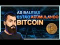 Baleias acumulando Bitcoin para a alta! - Cortes BitNada - CORTES CRIPTO