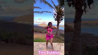 Famous Tiny Bubbles / Hula / Zumba #zumba #danceworkout #dancefitness #hula #줌바 #줌바댄스 Net Worth