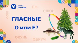 Учимся читать. Гласные. О или Ё