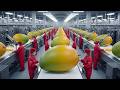 आधुनिक Mango Processing Factory के अंदर Farmto Delicious Mango Slices FullProcess🥭Inside The Factory