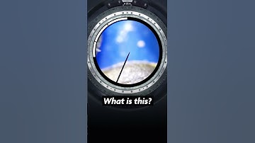 What is this? [004] #shorts #microscope #quiz #quizgames #knockknockshows