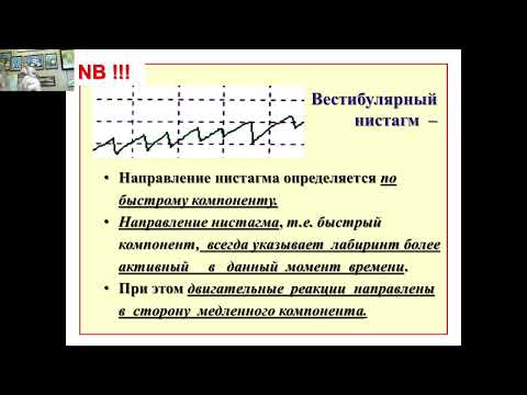 Видео: 20 Знаменитости «Сумасшедшие собаки-дамы», которые вы должны следовать на Instagram