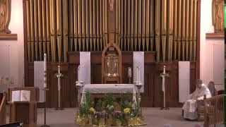 The Holy sacrifice of the Mass 5/3/26 11:30 AM