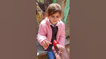 LAGI SEDIH KAH? MENYENDIRI DIBAWA POHON ZAITUN ANAK PALESTINA