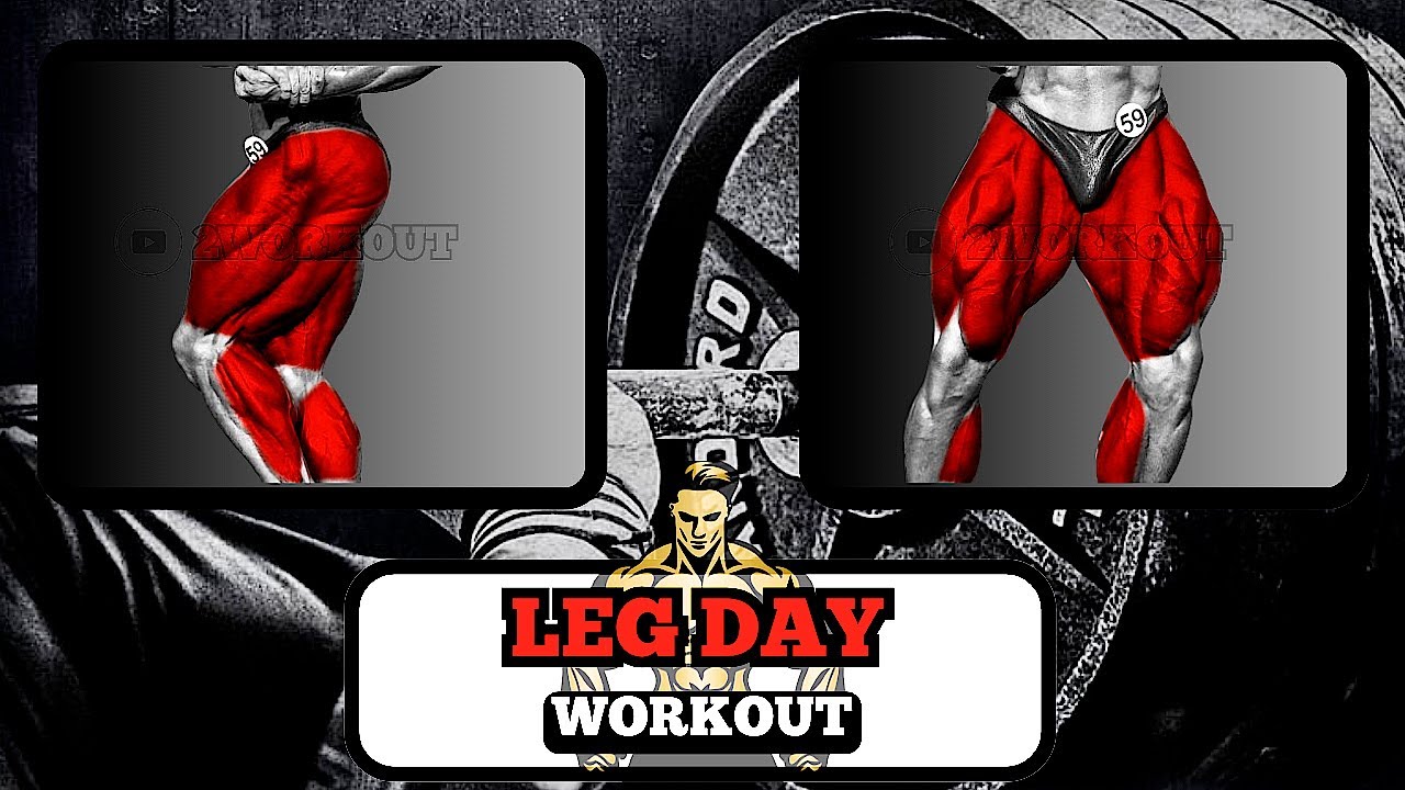Week 4 Day 6 | Massive Leg Gains: Leg Day Workout - 2WORKOUT - YouTube