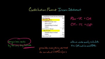 Contribution Format Income Statement